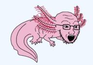 animal axolotl full_body glasses open_mouth pink_skin series:animaljaks soyjak stubble variant:soyak // 1500x1050 // 34.0KB