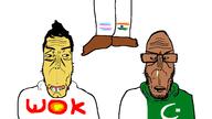 brown_skin flag:india flag:pakistan flag:transgender_pride_flag hanging subvariant:asiamutt subvariant:euromutt variant:markiplier_soyjak yellow_skin // 2560x1440 // 282.3KB