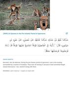 arab arabic_text brown_skin clothes glasses hadith holding_object irl_background islam monkey open_mouth rock soyjak stone stubble sunnah taqiyah text variant:a24_slowburn_soyjak // 704x954 // 126.5KB