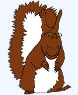 animal brown_hair happy series:animaljaks smile squirrel squirreljak subvariant:wholesome_soyjak variant:gapejak // 680x830 // 17.3KB