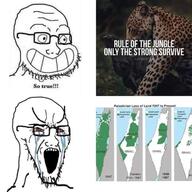 1947 1967 bloodshot_eyes calarts country crying glasses grin israel jungle large_eyebrows map meme open_mouth palestine so_true soyjak stretched_mouth stubble text tiger variant:soyak // 720x720 // 47.9KB