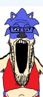 deformed fat furry gaping_mouth glasses hedgehog lady_lunanova pedophile sega sonic sonic_the_hedgehog stubble tranny transfem_sonic troon ugly variant:markiplier_soyjak // 495x1100 // 58.5KB
