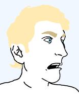 angry open_mouth subvariant:pajeetaryan trend:aryan variant:pajeetjak yellow_hair // 634x783 // 11.3KB