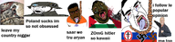 acking germany hanging india james_mason jewish_star nazism palestine pedophile poland rnu russia tagme_just_tagme_because_i_say_so_ok trans variant:alicia variant:chudjak variant:el_perro_rabioso // 1024x248 // 216.5KB