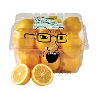 glasses irl lemon open_mouth soyjak teeth variant:soyak // 1800x1800 // 1.9MB
