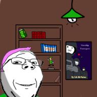 adventure_time figurine finn_the_human link_(the_legend_of_zelda) lord_of_the_rings media_literacy metal_gear millenial pink_hair room shelf soyjak starship_troopers subvariant:wholesome_soyjak the_legend_of_zelda variant:gapejak // 1280x1280 // 430.9KB