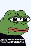 amphibian bald blue_background camera closed_mouth clothes frog green_skin lips looking_at_you nas nas:pepe pepe_the_frog politics surveillance tshirt // 1344x1973 // 220.6KB amphibian bald blue_background camera closed_mouth clothes frog green_skin lips looking_at_you nas nas:pepe pepe_the_frog politics surveillance tshirt // 1344x1973 // 220.6KB
