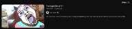 abc_news bloodshot_eyes crying dead flag glasses hair hanging mustache open_mouth purple_hair rope soyjak stubble suicide template thumbnail tongue tranny variant:bernd yellow_teeth youtube // 1117x252 // 141.2KB