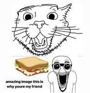 2soyjaks animal cat clothes food glasses open_mouth sandwich soyjak stubble text variant:el_perro_rabioso variant:unknown // 655x676 // 52.8KB
