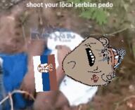 animated ext=gif flag:serbia gigachadhero_(user) irl nigger pedophile serbnigger shitskin variant:impish_soyak_ears // 255x209 // 1.5MB