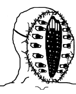 bald edit eyes large_mouth mask multiple_eyes no_glasses open_mouth scary stubble teeth variant:soyak // 644x800 // 31.2KB