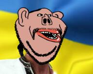 amerimutt ear hair mutt pig soyjak stubble subvariant:impish_amerimutt ukraine variant:impish_soyak_ears // 1000x800 // 432.9KB