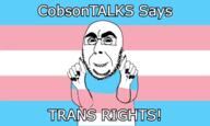 cobsontalks spadeson subvariant:cobsonTALKS subvariant:hornyson tranny trans_rights variant:cobson // 600x360 // 64.4KB