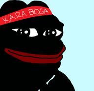 amphibian black_skin frog headband kara_boga nas:pepe pepe_the_frog turkiye vantablack_skin // 999x963 // 127.6KB