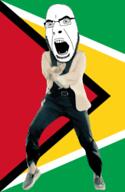 angry animated country dance flag flag:guyana full_body gangnam_style glasses guyana irl open_mouth soyjak stubble variant:cobson // 300x460 // 500.6KB