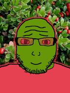 bearberry food fruit glasses meta:tagme series:operation_fruitjak stubble subvariant:lawrence // 481x643 // 359.3KB