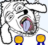 ack dog fluffy noose poodle puppy // 768x719 // 2.1MB