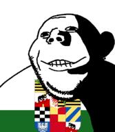 biting_lip closed_mouth flag flag: grin holy_roman_empire looking_at_you ominous smile soyjak stubble subvariant:gapealien variant:gapejak // 722x832 // 95.2KB