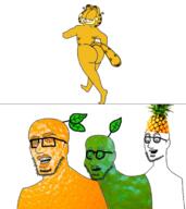 3soyjaks animanstudios ass food foodjak fruit garfield glasses lime orange pineapple soyjak stubble variant:unknown // 595x669 // 243.8KB