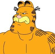 a10_eyes animal cat feline garfield subvariant:mexiaryan variant:meximutt // 886x872 // 110.0KB