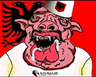 albania albanian mutt nas:amerimutt nigger subhuman subnas:ukromutt // 1080x864 // 62.9KB