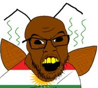 country flag flag:kurdistan glasses kurd kurdistan open_mouth roach soyjak stubble variant:feraljak // 1500x1354 // 87.3KB