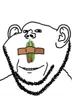 bandage ear gimp gimp_(photo_manipulation_program) green_is_my_pepper pepper smile soyjak stubble tape variant:impish_soyak_ears // 600x800 // 75.6KB