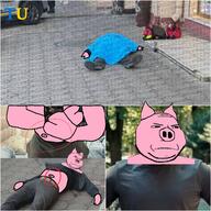 angry animal dead ear ganul hooves pig pink_skin snout stubble subvariant:wholesome_soyjak teeth ukraine variant:gapejak // 1280x1280 // 1.2MB