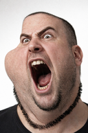 hair irl meta:ai_generated series:fusionjaks subvariant:fuckyniggerpoop subvariant:henry variant:cobson variant:impish_soyak_ears // 1024x1536 // 2.8MB