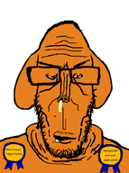 approver award bald booger clothes dog dog_ear ear eyebrows frown glasses looking_at_you meta:op_took_a_selfie_of_xerself mustache nose open_mouth orange_skin saliva series:soybooru_classes snout stubble subvariant:euromutt template text transparent_background variant:markiplier_soyjak wrinkles // 1125x1511 // 107.0KB