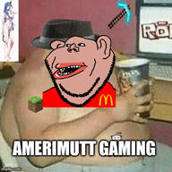 amerimutt anime_girl gamer gaming imgflip.com impact_font minecraft roblox weeb // 500x500 // 85.3KB