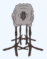 bird front_facing soycreature template transparent_background variant:soycreature // 594x740 // 32.1KB