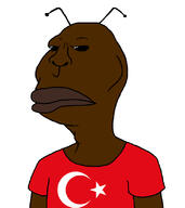 antenna clothes cockroach flag:turkiye nigger shitskin subvariant:brazilmutt t-shirt turk turkiye turknigger turkroach // 728x818 // 137.5KB