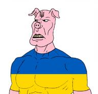 country flag:ukraine pig pigger slava_ukraini subvariant:mexibrute ukraine // 1133x1080 // 214.3KB