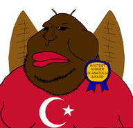 award cockroach islam mudslime nigger turk turkiye turkroach tvrkaryan // 888x849 // 301.5KB
