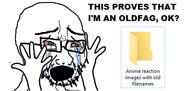 4chan anime archive bloodshot_eyes crying glasses hand hands_up open_mouth soyjak stubble text variant:cryboy_soyjak // 456x216 // 22.4KB