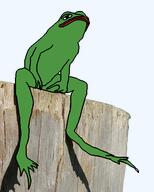 amphibian animal frog irl irl_background looking_up meta:not_oc nas:pepe not_a_fucking_soyjak pepe pepe_the_frog sit sitting transparent_background wood // 432x540 // 196.8KB amphibian animal frog irl irl_background looking_up meta:not_oc nas:pepe not_a_fucking_soyjak pepe pepe_the_frog sit sitting transparent_background wood // 432x540 // 196.8KB