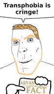 aryan blond blue_eyes fact subvariant:teutonson variant:cobson white_background white_skin // 1500x2600 // 801.1KB