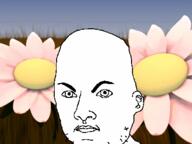 animated ear ext=gif eyebrows eyes flower meta:tagme mouth nose plant stubble variant:hercules // 400x300 // 1.2MB