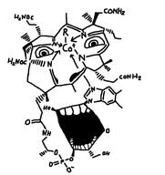looking_to_the_left open_mouth periodic_table science text variant:cobson // 492x523 // 92.5KB