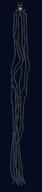 animal glasses glowing_eyes open_mouth soyjak squid thougher underwater variant:markiplier_soyjak // 523x2400 // 834.0KB