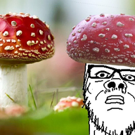 blurred_background closed_mouth clothes fungus glasses hat irl_background mushroom mustache neutral soyjak staring stubble variant:a24_slowburn_soyjak // 754x537 // 577.5KB