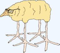 a10_eyes beak soycreature trend:aryan variant:soycreature yellow_skin // 754x669 // 19.2KB