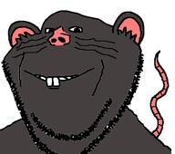 animal buck_teeth cheddar_c_cheese ear grey_skin mouse pink_skin rat rodent series:animaljaks smile snout soyjak stubble tail variant:impish_soyak_ears whisker // 674x596 // 60.8KB