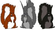 black_squirrel grey_squirrel red_squirrel squirrel subvariant:feralsquirrel variant:feraljak // 1000x550 // 252.7KB