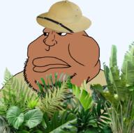 explorer jungle pith_helmet plant rainforest transparent_background variant:meximutt // 888x885 // 983.9KB