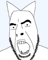 cat_ear no_glasses open_mouth series:unfunnycreature soyjak stubble unfunny_creature variant:cobson // 721x890 // 23.6KB