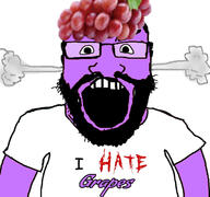 beard clothes food foodjak fruit fume glasses grape hat i_hate open_mouth purple_skin series:fruiterz! smoke soyjak subvariant:science_lover text tshirt variant:markiplier_soyjak // 427x400 // 112.0KB