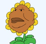 flower lips orange_skin plant plants_vs_zombies sunflower variant:meximutt video_game // 888x849 // 21.7KB