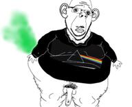 album_cover arm baby closed_mouth clothes cross_eyed deformed ear fart fat glasses hairy hand leg merge meta:low_resolution music nsfw open_mouth penis pink_floyd prog_rock rainbow soyjak stinky stubble subvariant:cobusion subvariant:jacobson subvariant:wholesome_soyjak the_dark_side_of_the_moon tshirt variant:a24_slowburn_soyjak variant:bernd variant:cobson variant:gapejak // 255x207 // 36.3KB